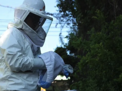 新潟蜂駆除専門店 長岡支店